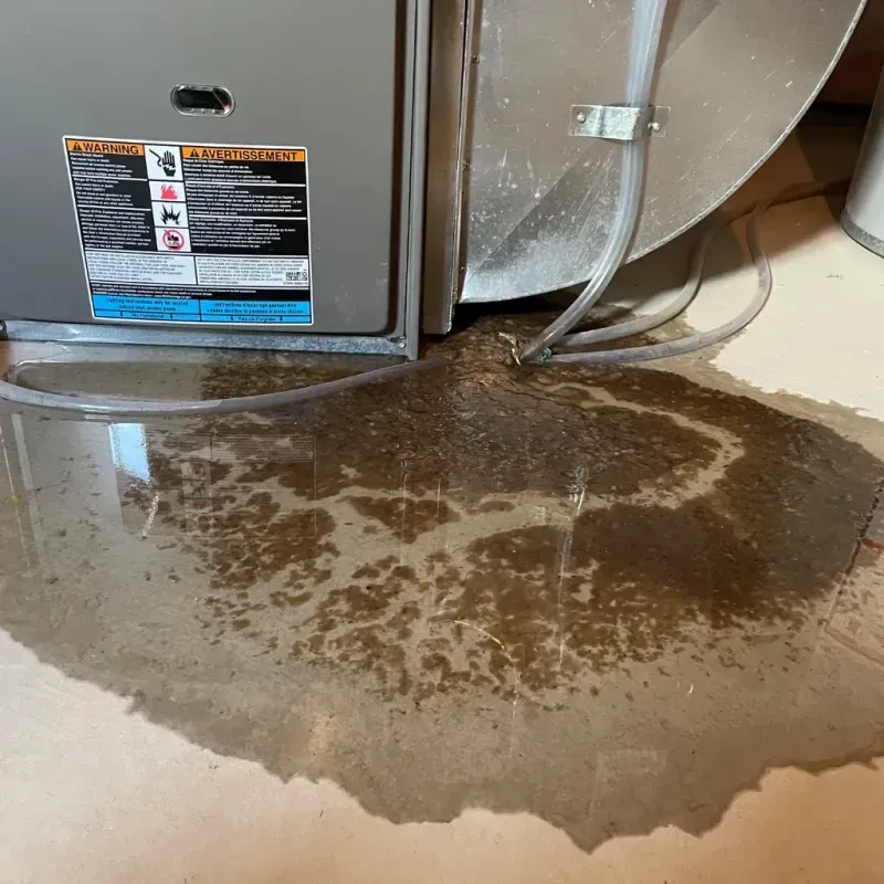 Appliance Leak Cleanup in Mesa Verde, CA